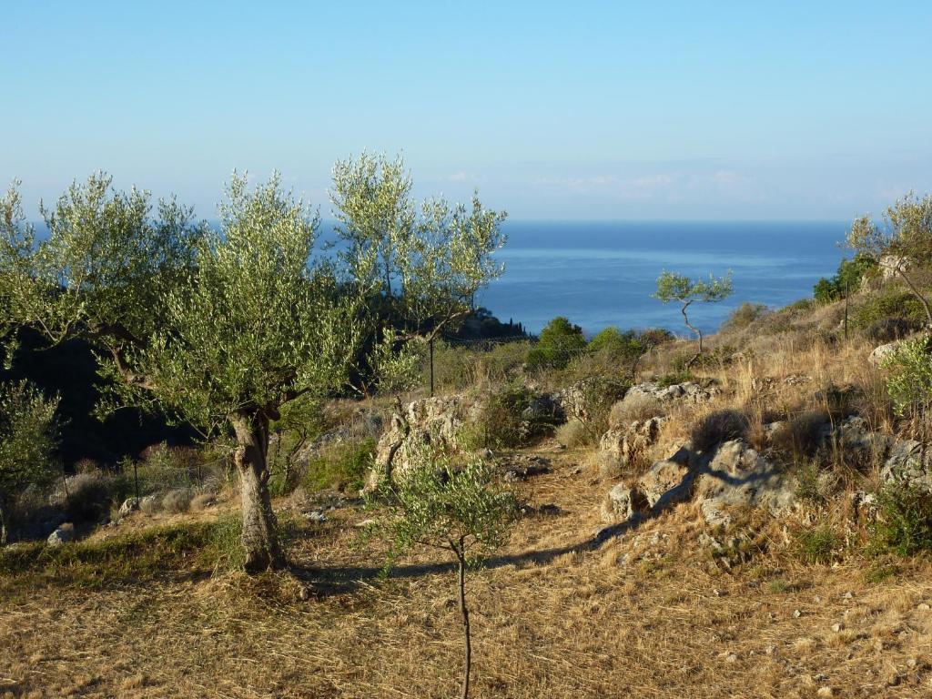 Trisilio Apartmán Kardamyli